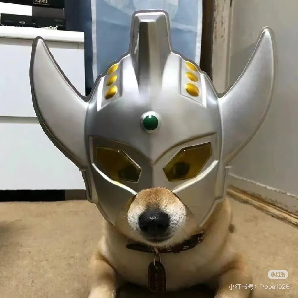 个人照片
